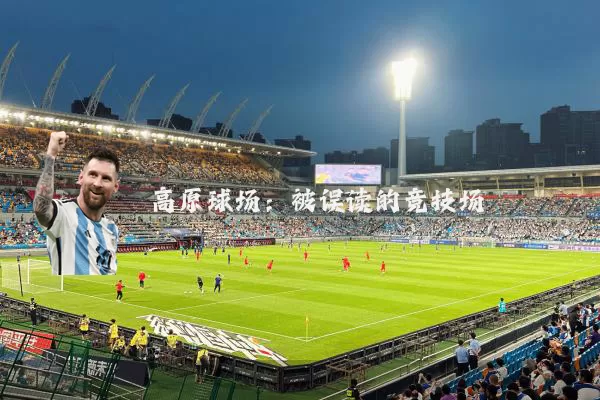 高原球场:被误读的竞技场
